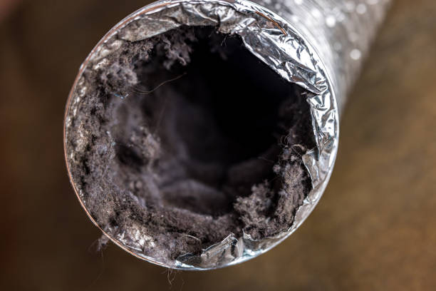 Best Air Duct Inspection  in Oill, NE