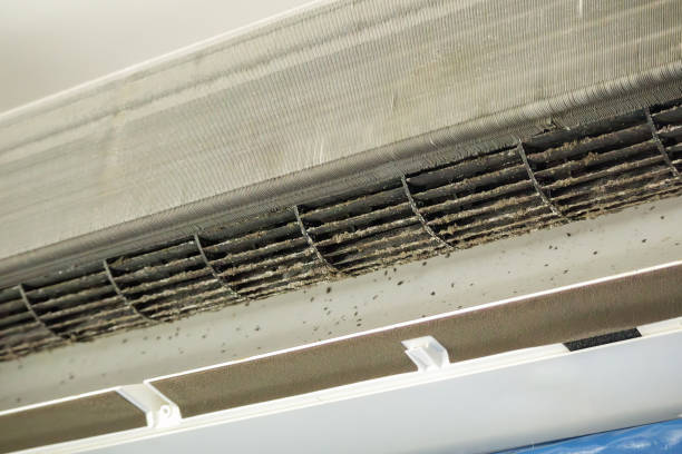 Best Duct Cleaning for Offices  in Oill, NE